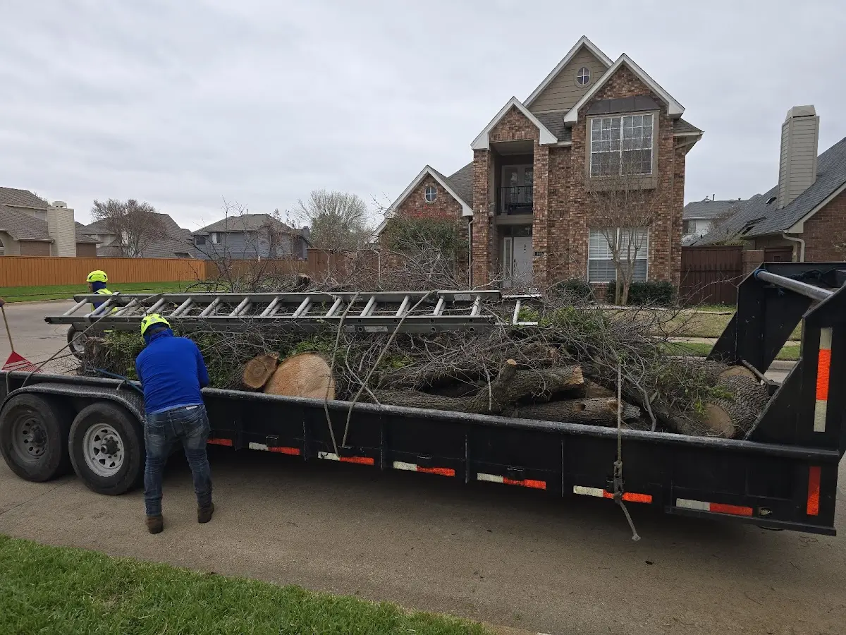 Expert Crown Reduction with proper safety equipment in Grand Valley
